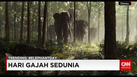 Peringatan Hari Gajah Sedunia