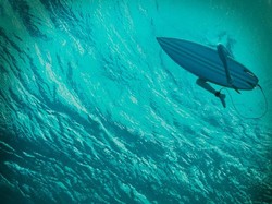 Saksikan The Shallows Malam Ini di Bioskop Trans TV