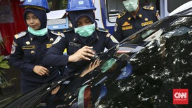 Bray, Pelindung Kaca Depan Khusus Mobil Premium