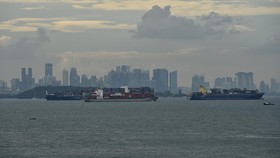 BP Batam Gemas Lihat Banyak Lahan Nganggur di Batam