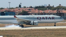 Burung Masuk ke Mesin, Pesawat Qatar Airways Mendarat Darurat