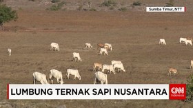 Lumbung Sapi Nusantara