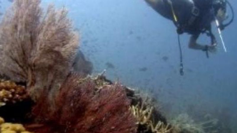 Wisata dengan destinasi bahari yang menawarkan kunjungan ke tanah air