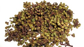 Mengenal Andaliman, Bumbu Rahasia dari Toba
