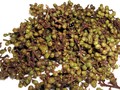 Mengenal Andaliman, Bumbu Rahasia dari Toba