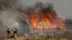 Kebakaran Hutan, 82 Ribu Warga California Dievakuasi