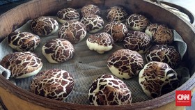 Uniknya 'Jamur Shiitake' Jumbo di Selangor