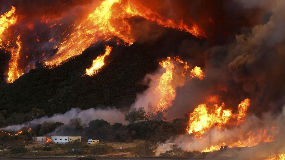 Ribuan Hektar Hutan California Hangus Terbakar