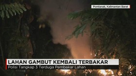 Polisi Tangkap 3 Terduga Pelaku Kebakaran Lahan Gambut