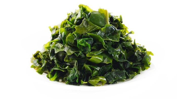 Seaweed on white background