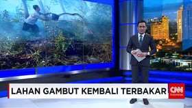 Kebakaran Lahan Gambut
