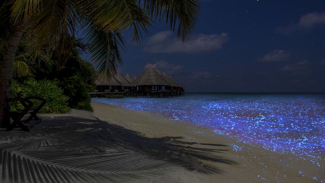 Keenam tempat ini memiliki keajaiban yang hanya dapat dinikmati pada malam hari. Hanya wisatawan yang beruntung yang dapat melihatnya.