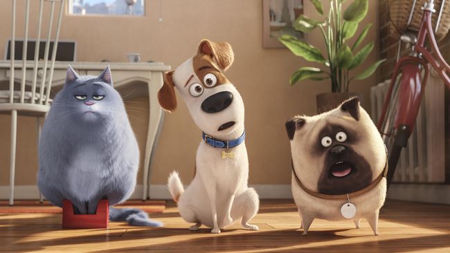 Animasi lucu nan mendidik tentang kehidupan binatang, The Secret Life of Pets sudah mulai bisa disaksikan pekan ini.