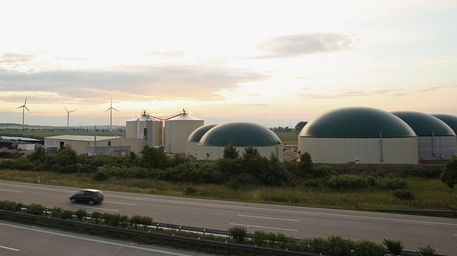 Sekitar 50 orang dilaporkan sakit karena menghirup gas yang bocor dari sebuah pabrik pupuk di Bangladesh