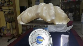 Nelayan Filipina Sembunyikan Mutiara Raksasa di Bawah Kasur