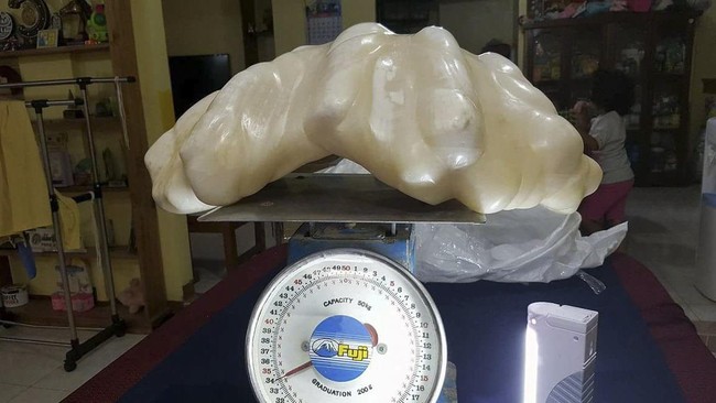 Nelayan di Filipina menyimpan bongkahan mutiara alam seberat 34 kg, yang diduga terbesar di dunia, di bawah tempat tidurnya selama 10 tahun terakhir.