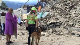 Terus Bertambah, Korban Gempa Italia Jadi 73 Orang