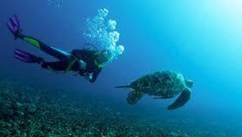 Komunitas Forum Selam menggagas pertemuan bertajuk Diver Gathering 10th Years Anniversary yang berlangsung pada 25-28 Agustus 2016 di Tulamben,Bali.