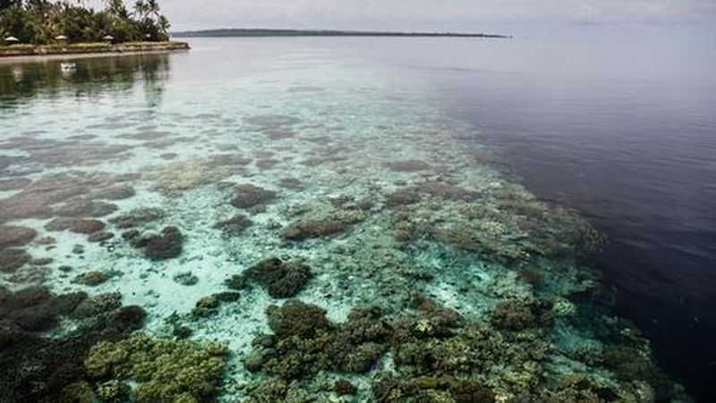 Wisata Bahari Pelni memberikan lima destinasi wisata ini dengan menghadirkan paket wisata yang dijamin memenuhi kebutuhan wisata Anda.