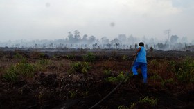 APSL Diduga Terlibat Penyanderaan Pegawai KLHK di Riau