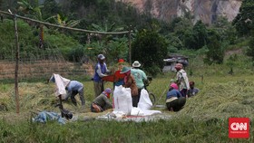 Menko Darmin Temukan Sumber Duit Baru Buat Modal Petani