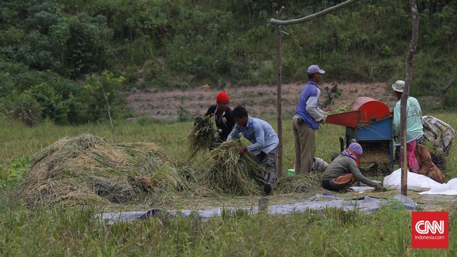 Warga melaporkan permasalahan ini karena menduga ada tindak pidana korupsi yang mungkin terjadi di ranah pemerintahan provinsi hingga ke tingkat desa.