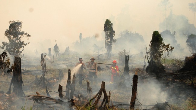 Pemerintah didesak untuk membenahi penegakan hukum lingkungan, khususnya terkait dengan penanganan kasus kebakaran hutan dan lahan.