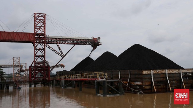 Empat dari lima perusahaan batu bara yang melantai di bursa saham mampu mencatatkan pertumbuhan laba bersih. Prospek hijau di sektor tersebut.