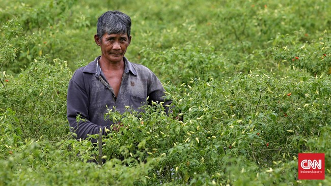 Perusahaan tambang terus berusaha memperluas wilayah konsesinya. Melobi petani untuk menjual lahan miliknya menjadi salah satu cara, petani menolak.
