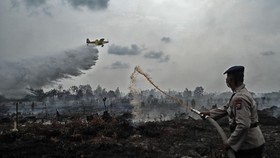 Satgas Kewalahan Padamkan Kebakaran Gambut Meranti