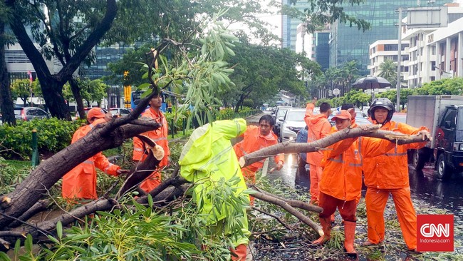 Hujan dengan intensitas sedang mengguyur Jakarta menjelang malam, sejumlah pohon tumbang dilaporkan karena kondisi itu.