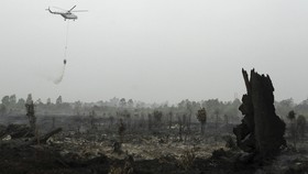 KPK Temukan 144 Perusahaan Tak Berizin di Riau