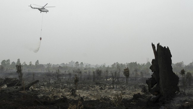 KPK menemukan sedikitnya 144 perusahaan yang tak berizin dan berada di kawasan hutan lindung Riau.