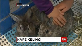 Kafe Kelinci