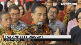 Presiden Angkat Bicara Soal Gugatan Tax Amnesty