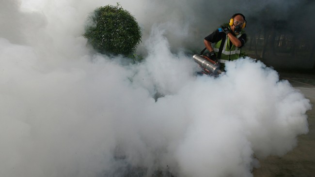 Kementerian Luar Negeri India mengatakan bahwa 13 warga negara India yang berada di Singapura dinyatakan positif virus zika.