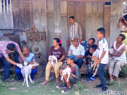 Waspadai Rabies yang Rentan Menyerang Anak-anak