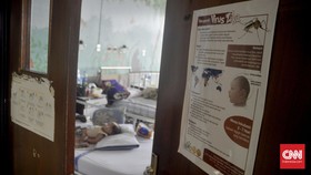 Pemerintah Diminta Siapkan Dana yang Cukup Hadapi Virus Zika