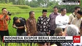 Beras Organik Indonesia Tembus Pasar Internasional