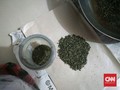 Polisi Amankan Penyelundupan Ganja Kering Siap Pakai di Riau