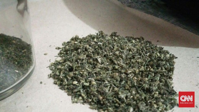 BNN mengagalkan penyelundupan ganja 450 Kg di Bogor yang dilakukan dengan cara memasukkan barang haram itu ke makanan paralon mirip lemang.