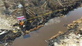 Penyanderaan Pegawai KLHK, Gubernur Riau Minta Dukung Aparat