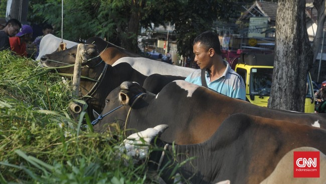 Daging yang didapat akan disalurkan ke rumah susun. Setiap unit rusun akan mendapat 1 kg daging sapi.