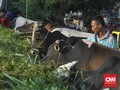 Warga Sekitar Venue Pacuan Kuda Dilarang Potong Hewan Kurban