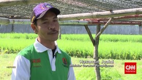 Gerakan Penghijauan dari Pesantren
