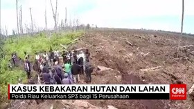 Sidak Kebakaran Hutan dan Lahan