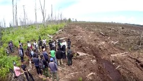 Pemerintah Didesak Setop Aktivitas RAPP Secara Permanen
