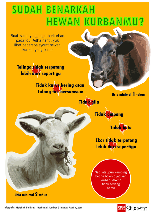 Senin (12/9) umat Islam akan merayakan Idul Adha. Lihat yuk infografis mengenai syarat hewan yang bisa dijadikan kurban pada hari raya itu.