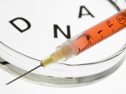 Iseng Ikut Tes DNA, Pasangan Ini Temukan Fakta Mengejutkan Soal Anaknya