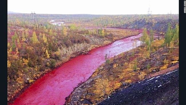 Sungai Daldykan di Rusia yang biasanya jernih berubah merah pekat seperti layaknya aliran darah di dalam tubuh.